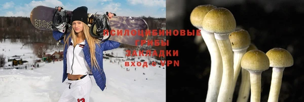спайс Алексеевка