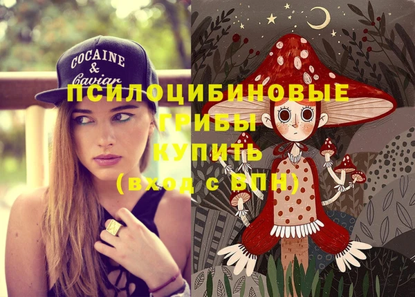 трава Снежинск